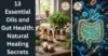 13 Essential Oils and Gut Health: Natural Healing Secrets - Post Thumbnail