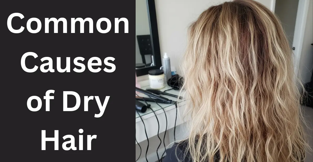 Common Causes of Dry Hair