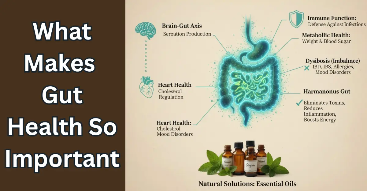 What Makes Gut Health So Important
